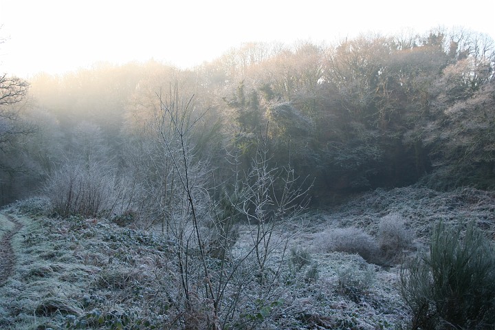 IMG_3614.JPG - Paysage 
Petit matin froid. La mto nous a gat : temps idal, des paysages pris par le givre, bref que du bonheur !