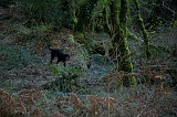 IMG_2763