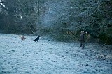 IMG_2808