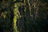 IMG_5251