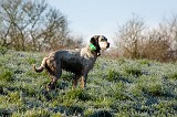 IMG_5326