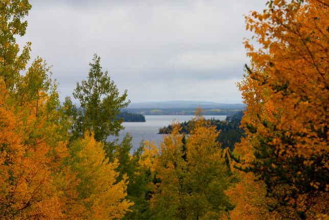 IMG_9331.jpg