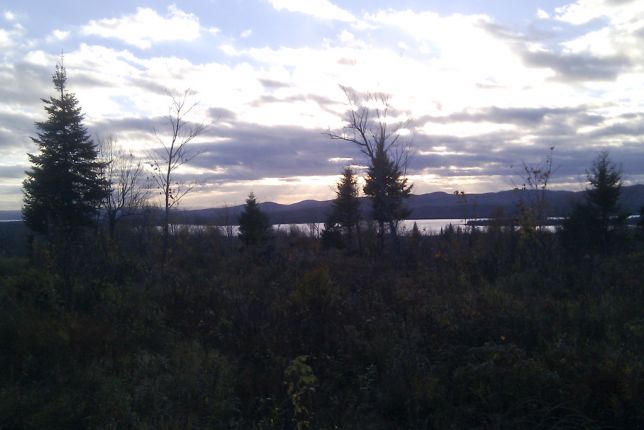 IMAG0054.jpg