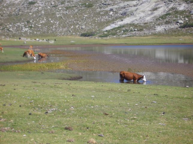 Lac de Nino