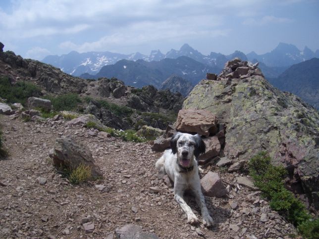 2006, entre Ortu-di-Piobu et Carrozzu