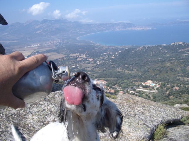 Petite pause au dessus de la baie de Calvi.