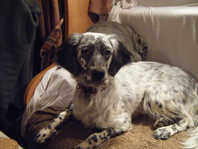 DSCF1101.JPG