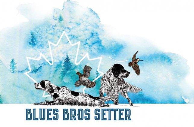 blues-bros1.jpg