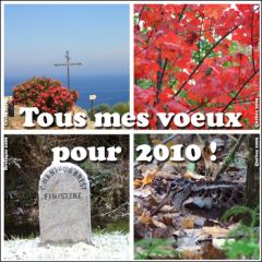 Voeux 2010