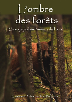 L'ombre des forêts