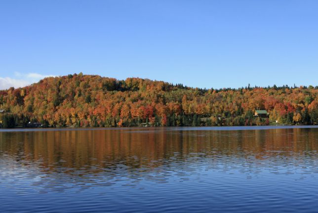 NH : vue du chalet