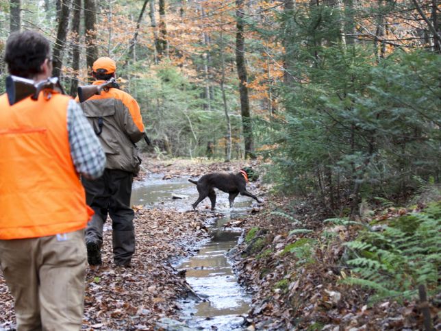 Chasse au Vermont