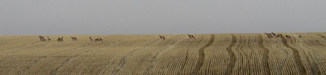 IMG_7224.JPG