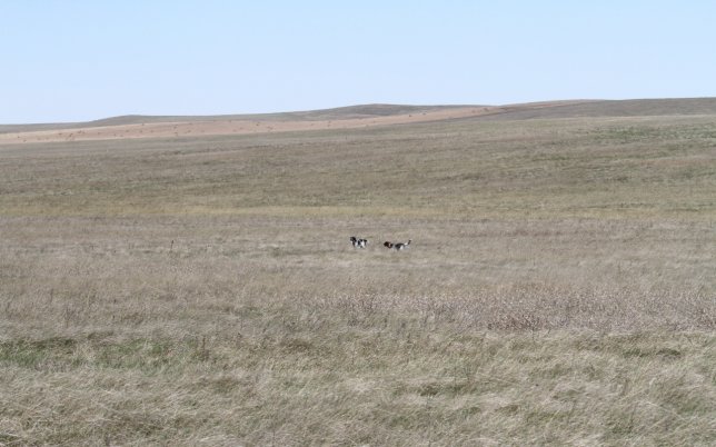 IMG_7367.JPG