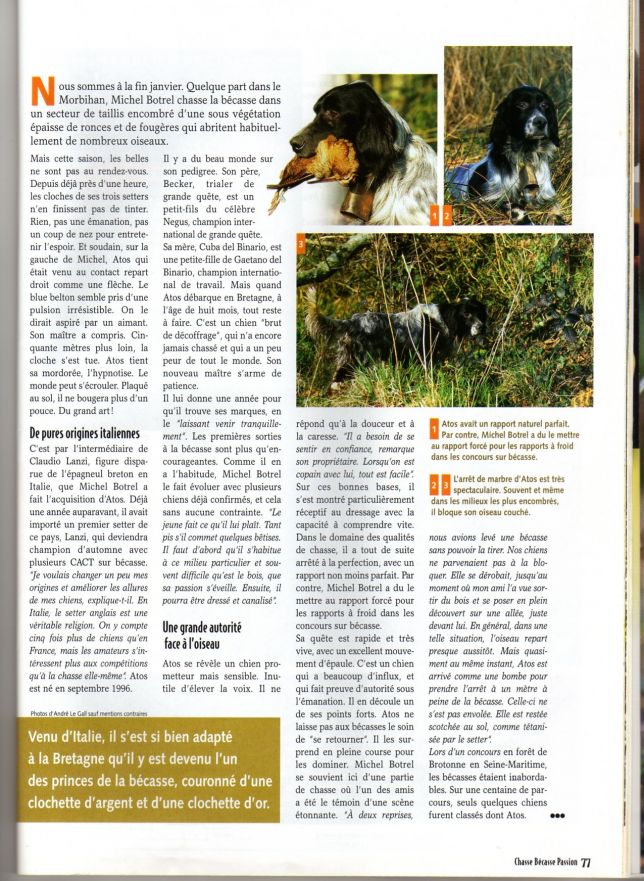 La revue Bécasse Passion n°62 - sept. oct. nov. 2007 - page 77