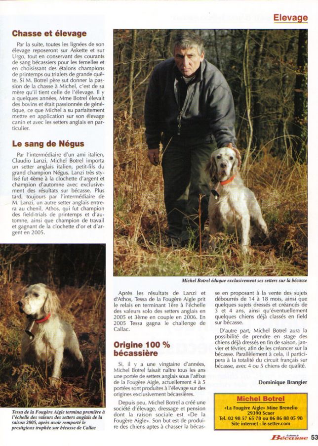 Revue Nationale des bécassiers n° 43 - jan-fev-mar 2008 - page 52